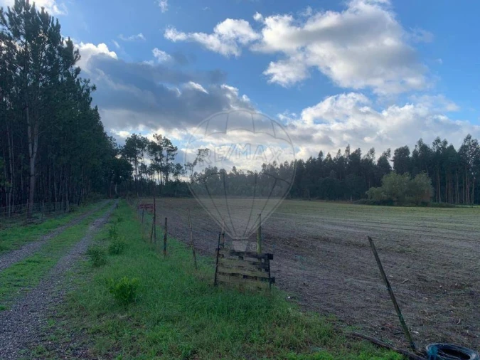 Terreno para Venda em Arazede Foto 3