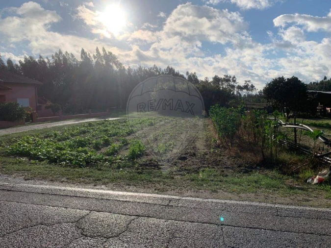 Terreno para Venda em Arazede Foto 6