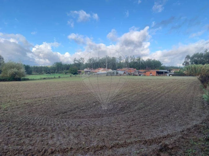 Terreno para Venda em Arazede