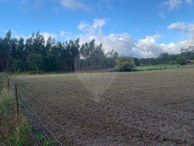 Terreno para Venda em Arazede Foto 4