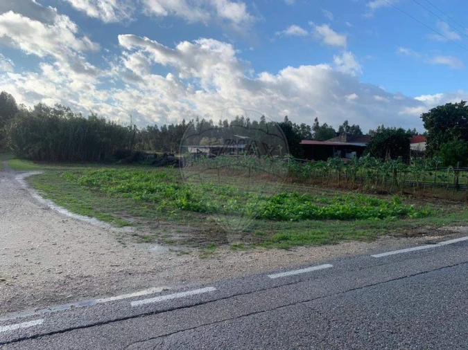 Terreno para Venda em Arazede Foto 5