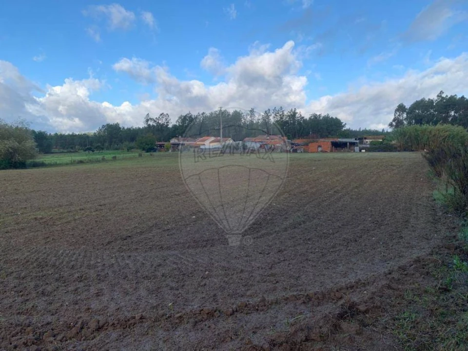 Terreno para Venda em Arazede Foto 8