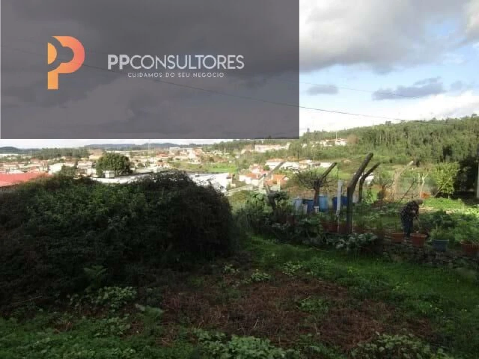 Terreno para Venda em Nogueira da Regedoura Foto 2
