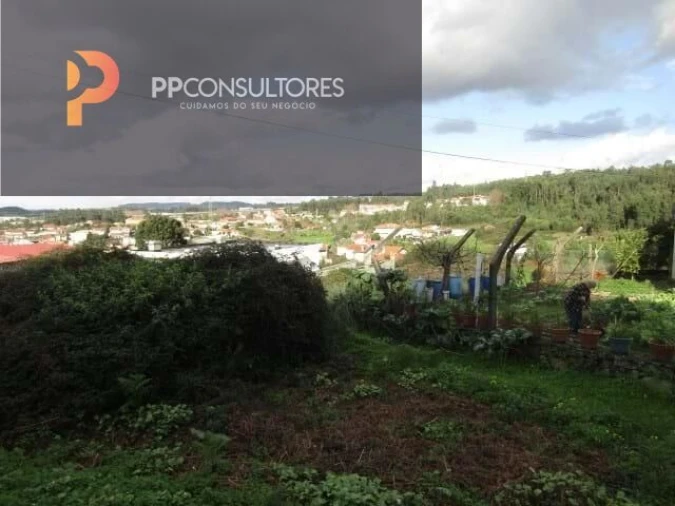 Terreno para Venda em Nogueira da Regedoura Foto 2