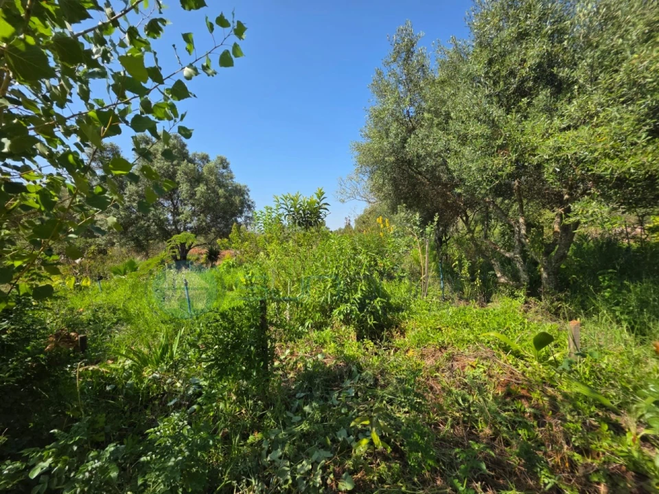 Terreno para Venda em Bensafrim e Barão de São João Foto 8