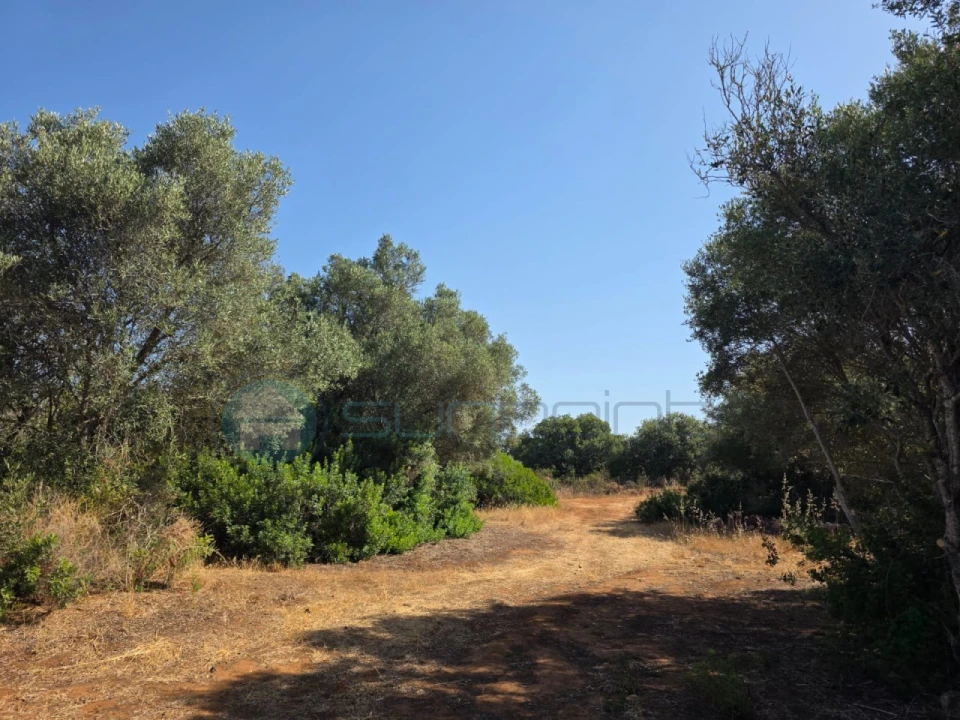 Terreno para Venda em Bensafrim e Barão de São João Foto 11
