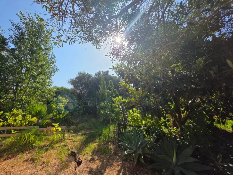 Terreno para Venda em Bensafrim e Barão de São João Foto 15