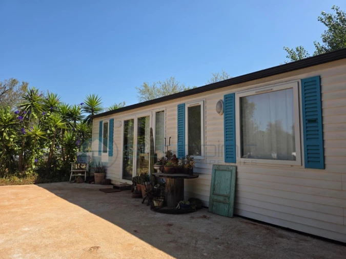 Terreno para Venda em Bensafrim e Barão de São João Foto 7