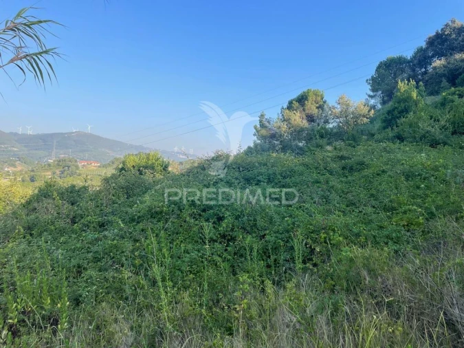 Terreno para Venda em Leiria, Pousos, Barreira e Cortes Foto 9