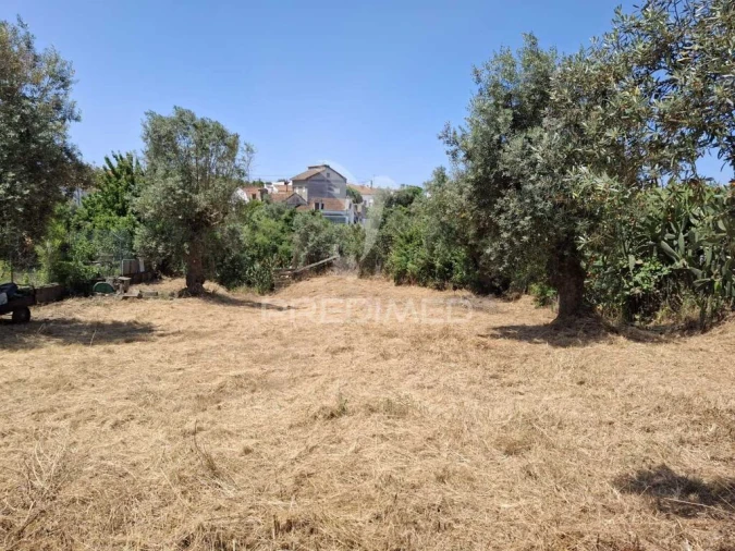 Moradia T3 para Venda em São Miguel do Rio Torto e Rossio Ao Sul do Tejo Foto 8