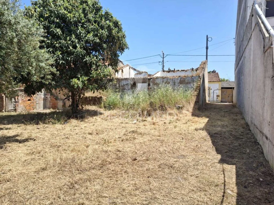 Moradia T3 para Venda em São Miguel do Rio Torto e Rossio Ao Sul do Tejo Foto 7