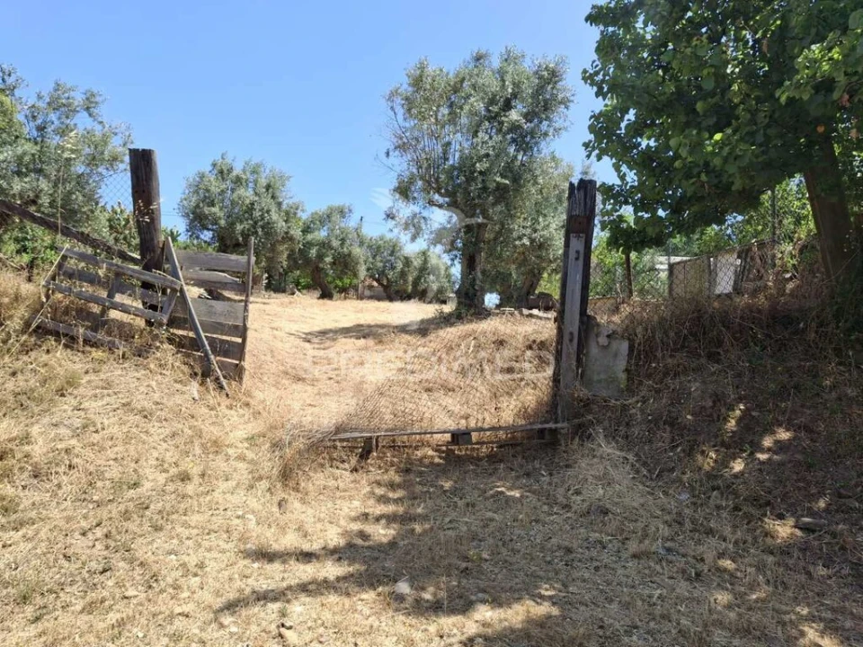 Moradia T3 para Venda em São Miguel do Rio Torto e Rossio Ao Sul do Tejo Foto 10
