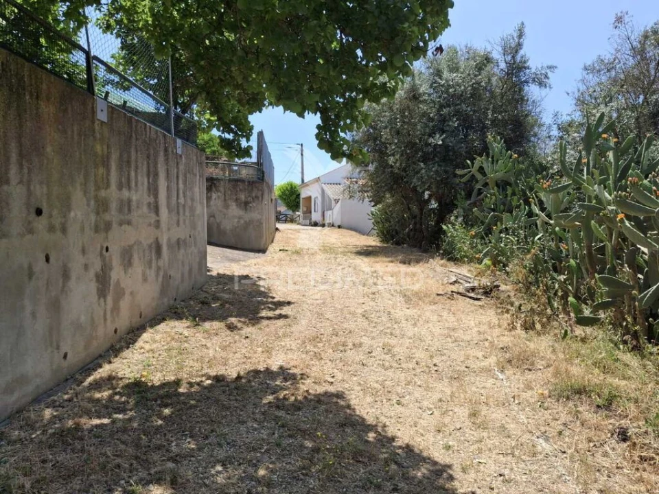 Moradia T3 para Venda em São Miguel do Rio Torto e Rossio Ao Sul do Tejo Foto 11