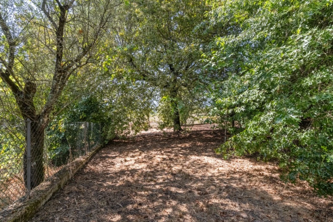 Moradia T4 para Venda em Verim, Friande e Ajude Foto 42