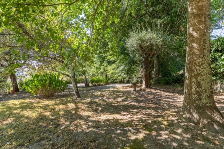 Moradia T4 para Venda em Verim, Friande e Ajude Foto 35