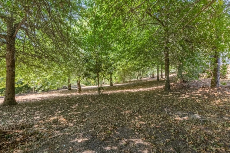 Moradia T4 para Venda em Verim, Friande e Ajude Foto 37