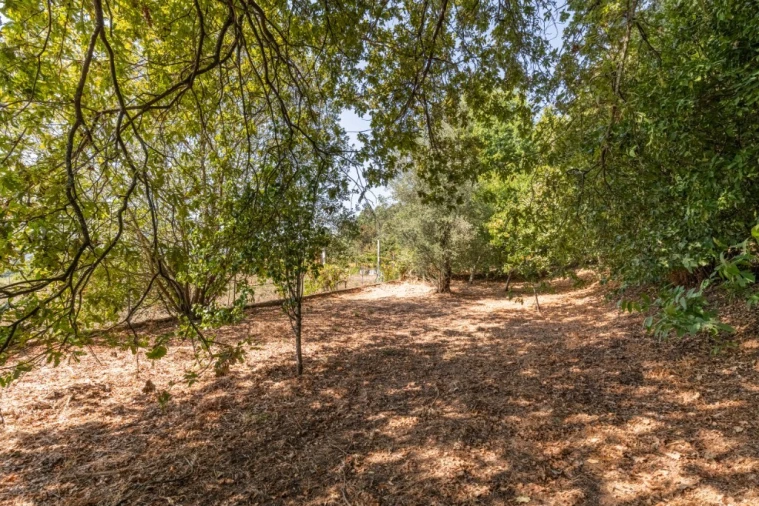 Moradia T4 para Venda em Verim, Friande e Ajude Foto 41