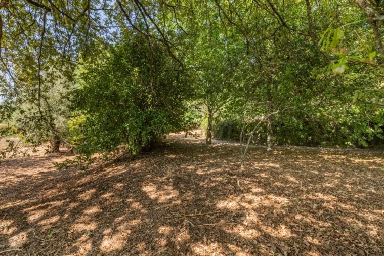 Moradia T4 para Venda em Verim, Friande e Ajude Foto 40