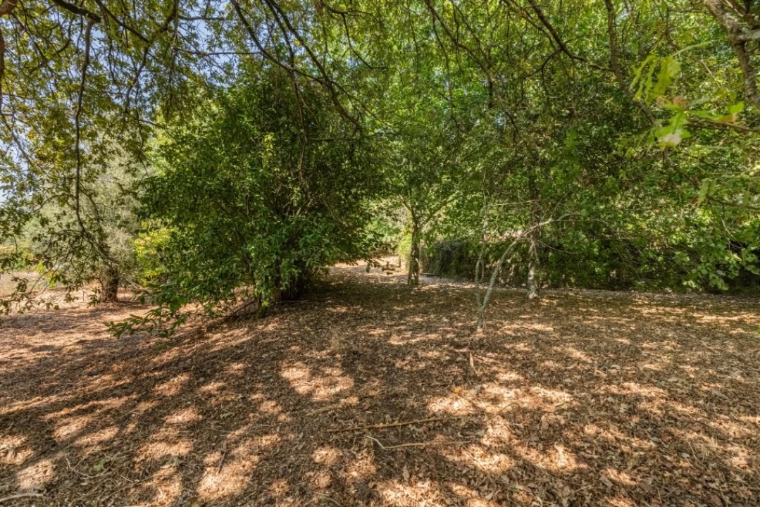 Moradia T4 para Venda em Verim, Friande e Ajude Foto 40