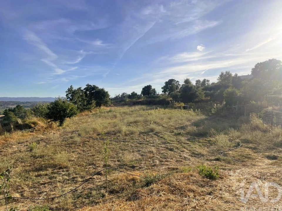 Moradia T1 para Venda em Vale Formoso e Aldeia do Souto Foto 9