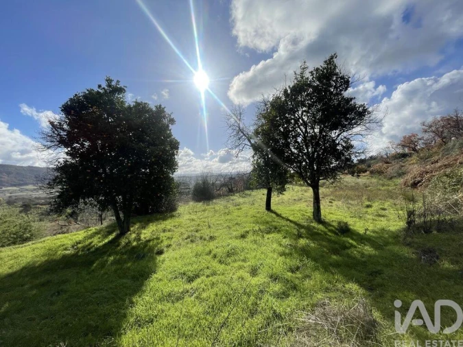 Moradia T1 para Venda em Vale Formoso e Aldeia do Souto Foto 8