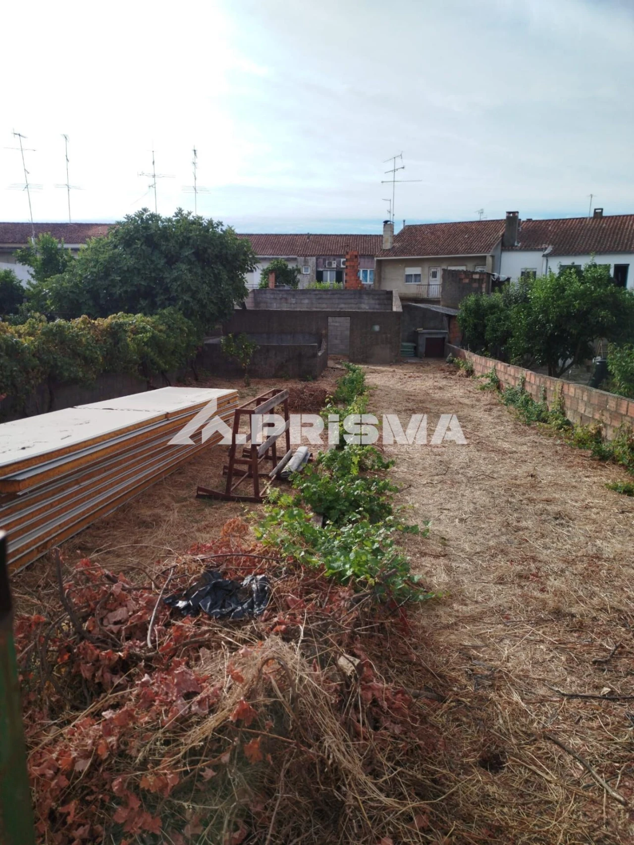 Terreno para Venda em Alcains Foto 2