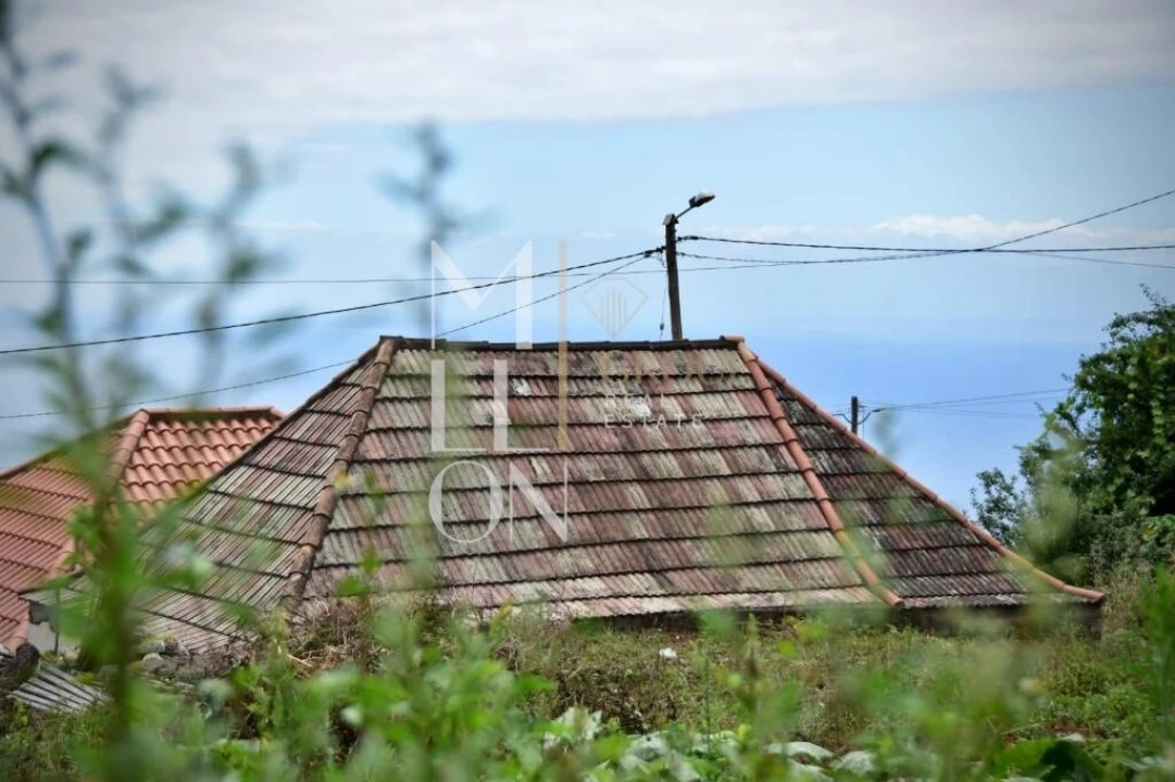 Terreno para Venda em Ponta do Sol Foto 8