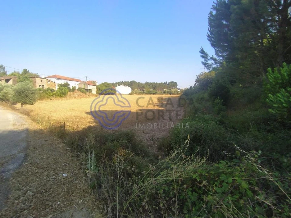 Armazém para Venda em Areias e Pias Foto 2