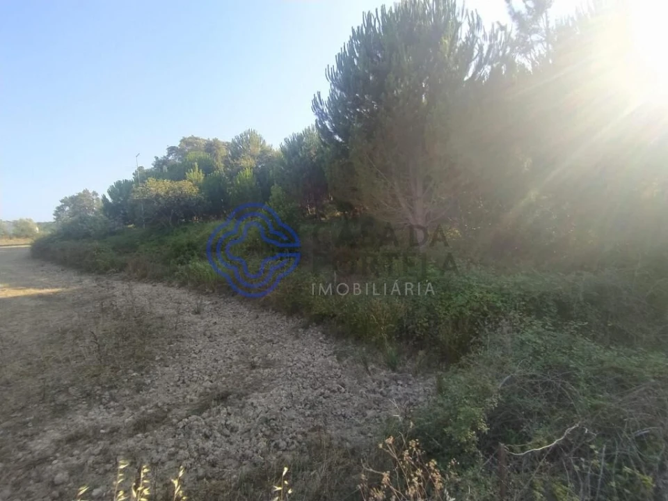 Armazém para Venda em Areias e Pias Foto 20