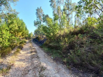 Armazém para Venda em Areias e Pias
