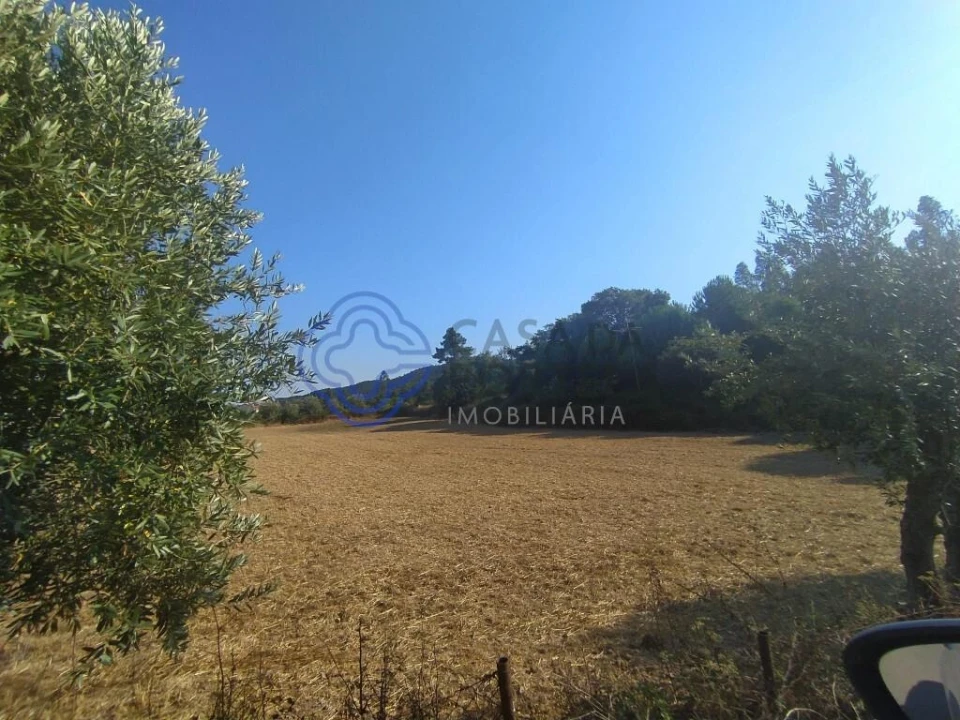 Armazém para Venda em Areias e Pias Foto 4