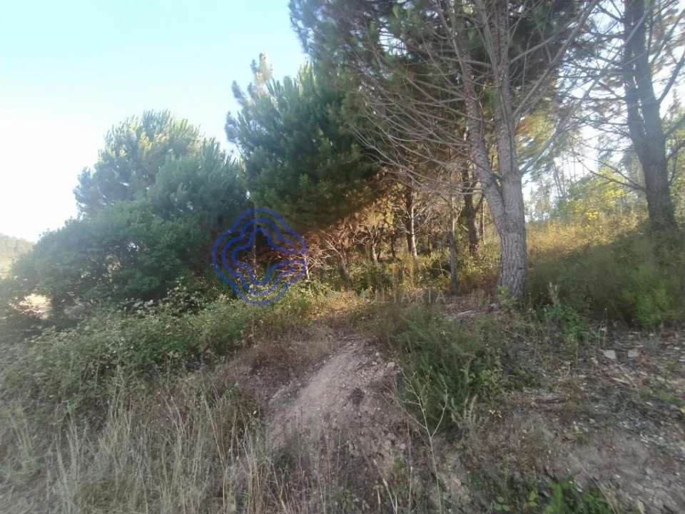 Armazém para Venda em Areias e Pias Foto 13