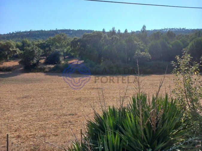 Armazém para Venda em Areias e Pias Foto 5