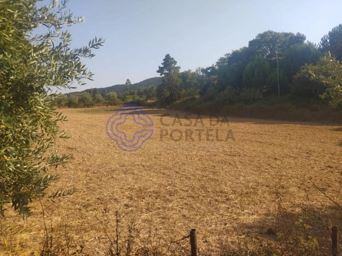 Armazém para Venda em Areias e Pias Foto 18