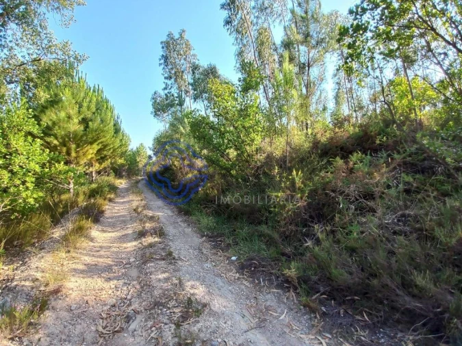 Armazém para Venda em Areias e Pias Foto 19