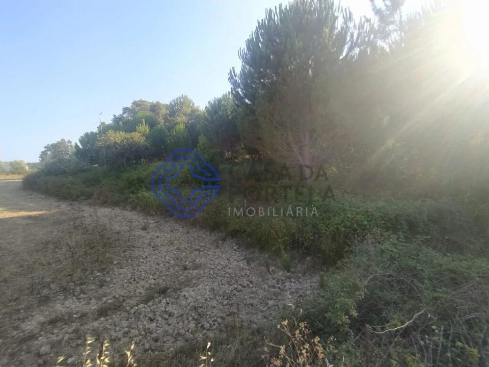 Armazém para Venda em Areias e Pias Foto 14