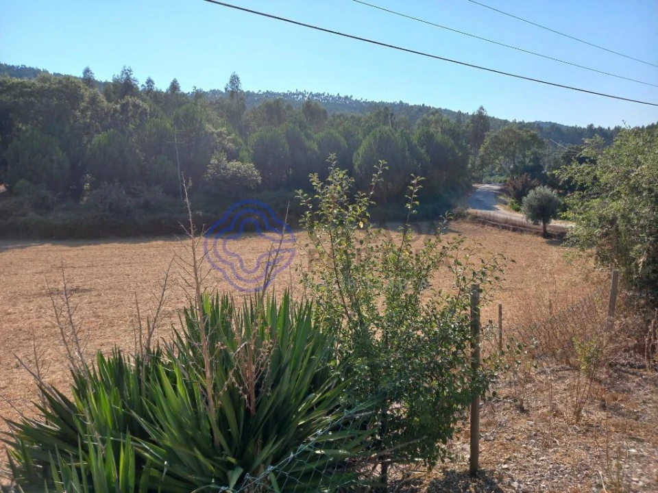 Armazém para Venda em Areias e Pias Foto 21