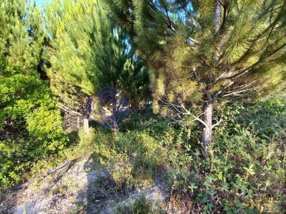 Armazém para Venda em Areias e Pias Foto 22