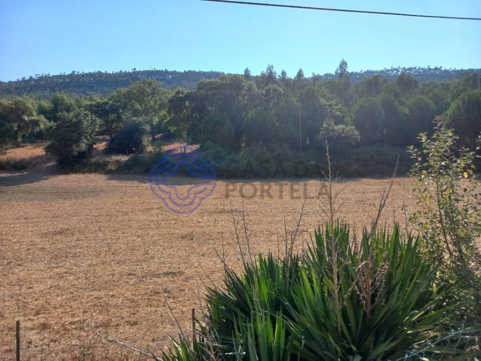 Armazém para Venda em Areias e Pias Foto 3