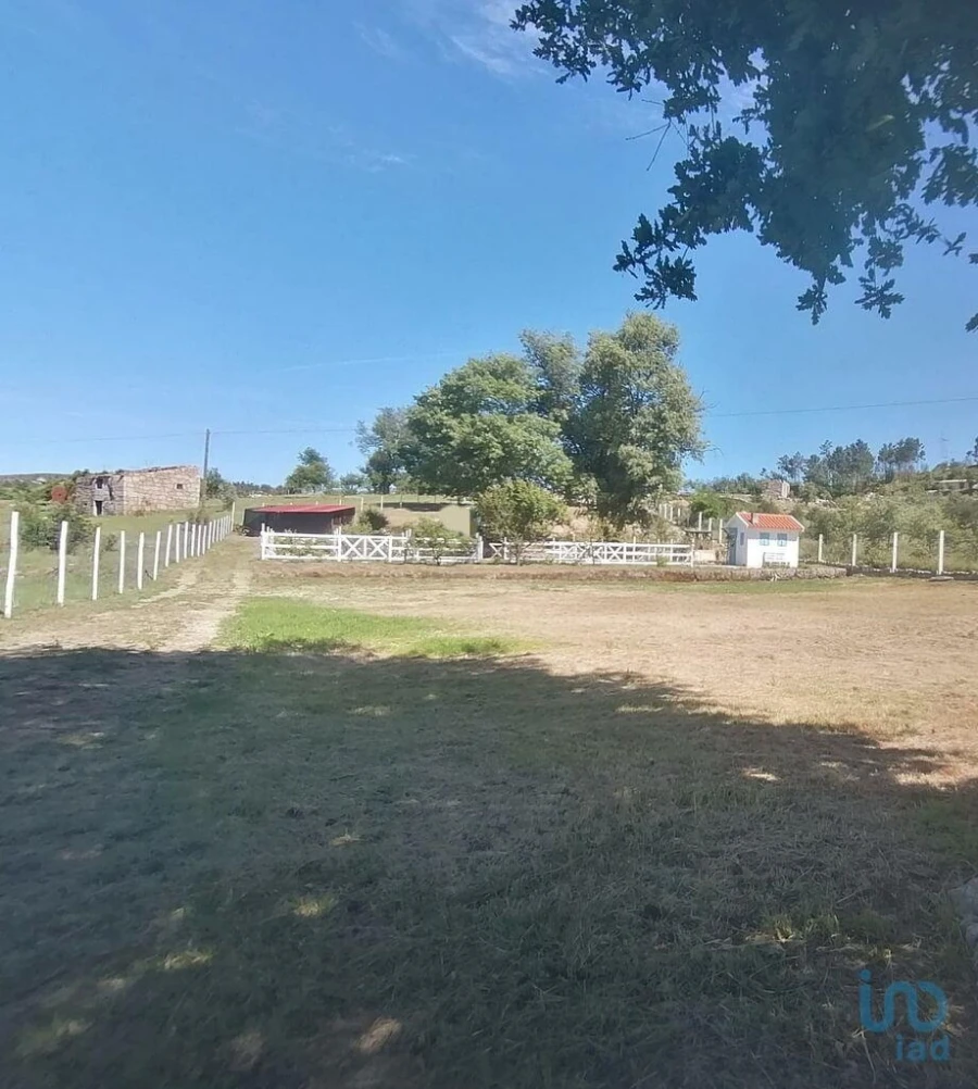 Terreno para Venda em Oliveira do Hospital e São Paio de Gramaços Foto 10