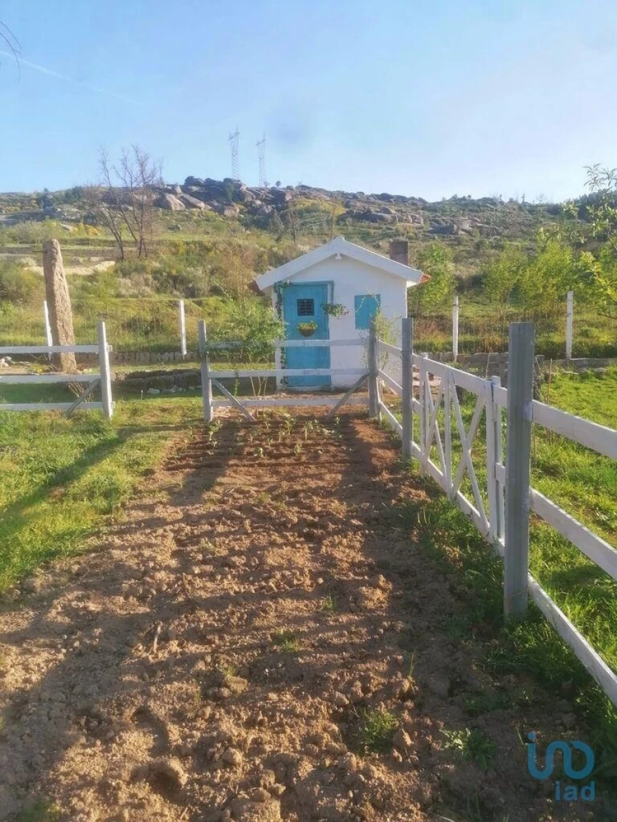 Terreno para Venda em Oliveira do Hospital e São Paio de Gramaços Foto 3