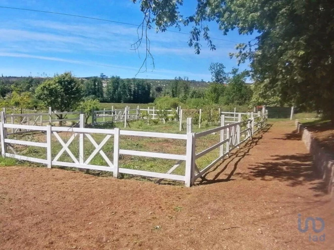 Terreno para Venda em Oliveira do Hospital e São Paio de Gramaços Foto 2
