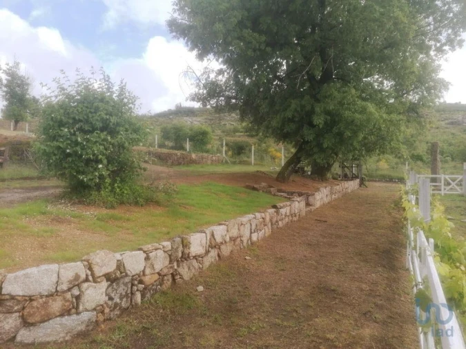 Terreno para Venda em Oliveira do Hospital e São Paio de Gramaços Foto 6