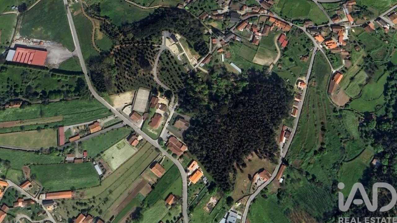 Moradia T4 para Venda em Vouzela e Paços de Vilharigues Foto 27