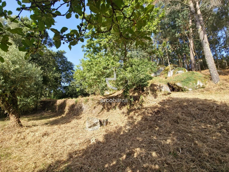 Quinta T2 para Venda em Lavradas Foto 11