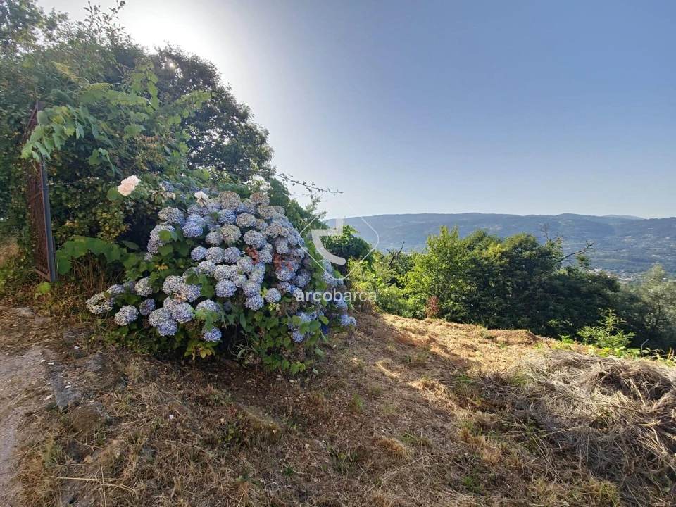 Quinta T2 para Venda em Lavradas Foto 4