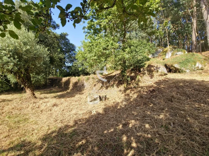 Quinta T2 para Venda em Lavradas Foto 15