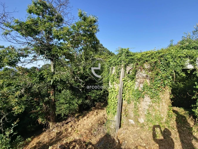 Quinta T2 para Venda em Lavradas Foto 3