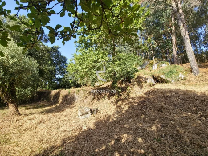 Quinta T2 para Venda em Lavradas Foto 11