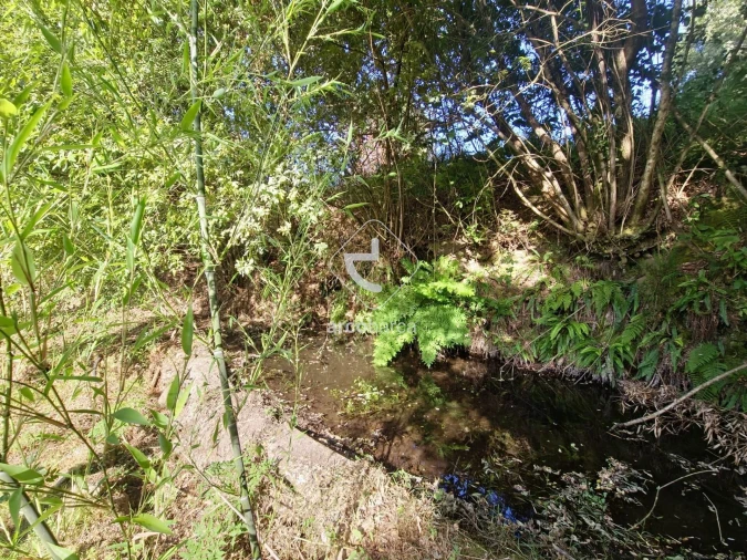 Quinta T2 para Venda em Lavradas Foto 9